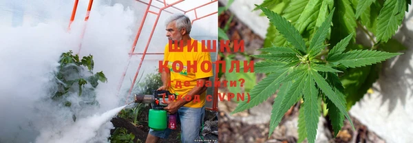 крисы Вязники
