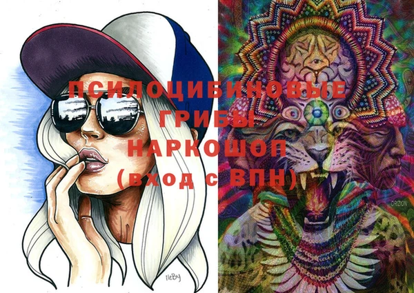 крисы Вязники