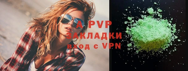 гашик Вязьма
